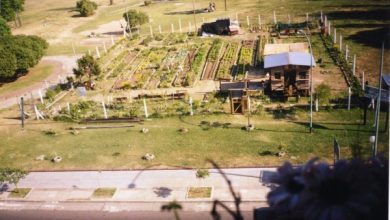 Photo of Giardini urbani a Buenos Aires. Agricoltura urbana in Argentina