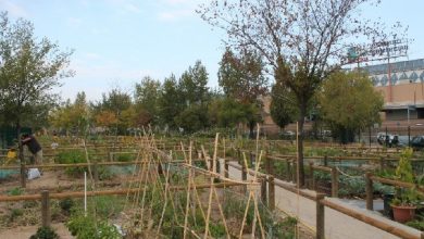 Photo of Cosa fare a Huerto in estate: guida completa