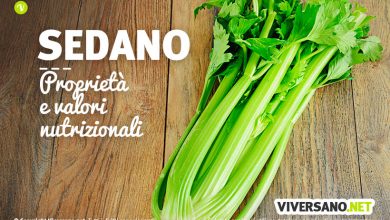 Photo of I benefici nutrizionali e medicinali del sedano