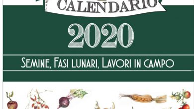 Photo of I compiti dell’orto biologico a settembre