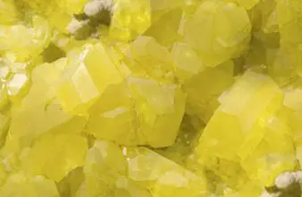 Photo of I minerali della nostra dieta: lo zolfo