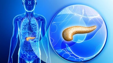 Photo of Il pancreas, le funzioni, gli alimenti e le piante medicinali benefiche