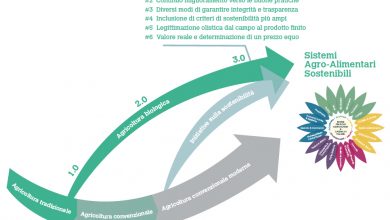Photo of Il ruolo dei produttori biologici