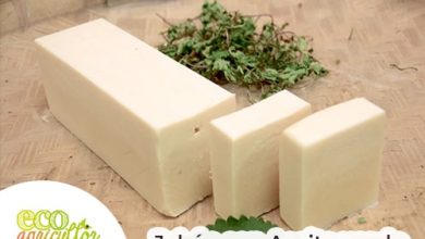Photo of Cosa fare con l’olio usato? Crea il tuo sapone!