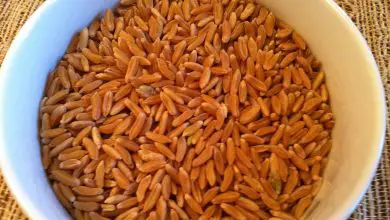 Photo of Grano Kamut: un cereale con una storia ricca di vitamine e minerali