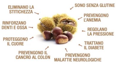 Photo of Le castagne prevengono l’ipertensione, l’anemia e la ritenzione di liquidi