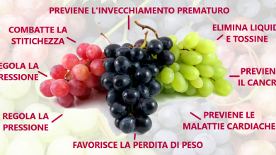Photo of Le proprietà nutritive dell’uva