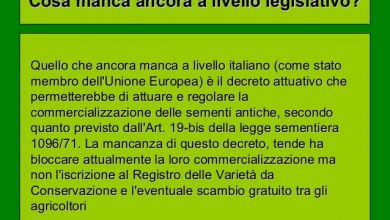 Photo of L’UE vieta la vendita e la riproduzione di semi autoctoni e tradizionali