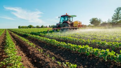 Photo of L’uso delle ceneri nell’agricoltura biologica