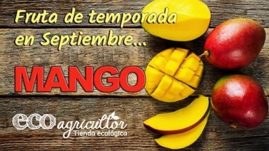 Photo of Mango: Frutto autunnale dalle proprietà antiossidanti, sazianti e diuretiche