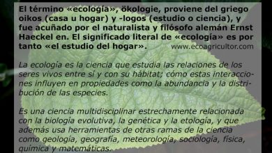 Photo of Ecologia: cos’è e come si differenzia dalla biologia e dall’ambiente