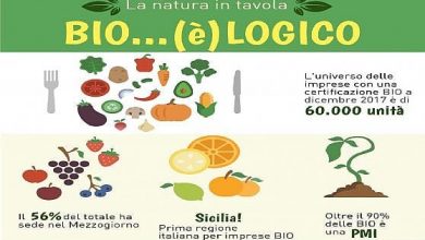 Photo of Mercati per acquistare prodotti biologici in Castilla y León