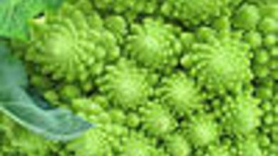 Photo of Monsanto ottiene il brevetto dei broccoli broccoli