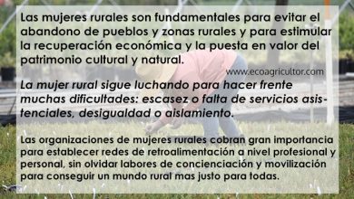 Photo of Donne rurali: fondamentali per la ripresa economica dell’ambiente rurale e lo spopolamento