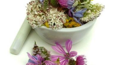 Photo of Parti di piante che vengono utilizzate nei rimedi naturali