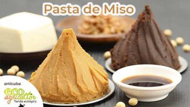 Photo of Miso: È così vantaggioso? Quali proprietà e benefici ha davvero per la salute?