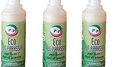 Photo of Piretrine: rimedio ecologico contro i parassiti