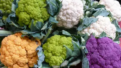 Photo of Cavolfiore, cosa c’è da sapere per la sua coltivazione nell’orto biologico