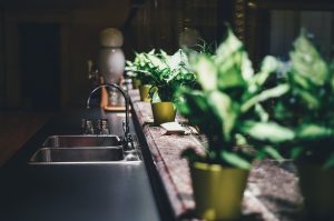 Photo of Irrigazione nelle piante da interno: [Guida di base e completa]