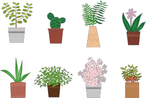 Photo of [14 tipi di piante da interno] da avere a casa