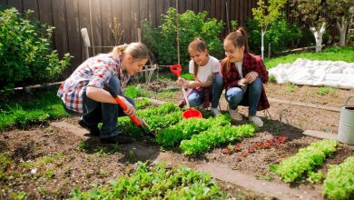 Photo of Preparazione e manutenzione del terreno per coltivare un orto biologico