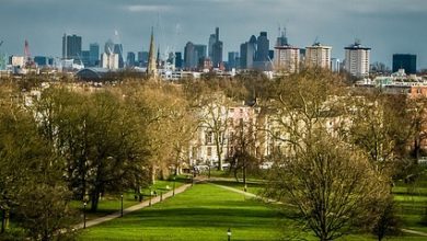 Photo of Natura urbana a Londra, cosa ho visto durante il mio viaggio