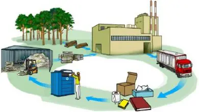 Photo of Riciclo della carta: processo e benefici ambientali