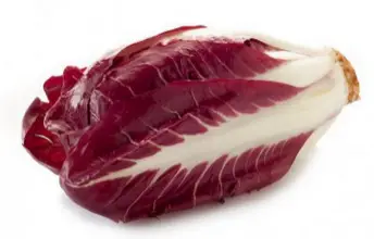 Photo of Cicoria, come coltivarla biologica