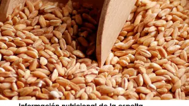 Photo of Farro, proprietà e benefici di questo cereale