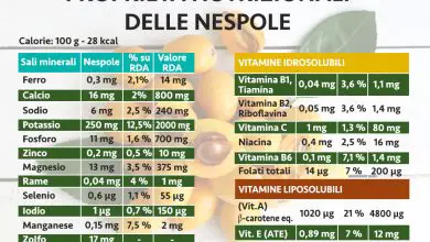 Photo of Proprietà nutrizionali della nespola