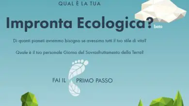Photo of Qual è la tua impronta ecologica?