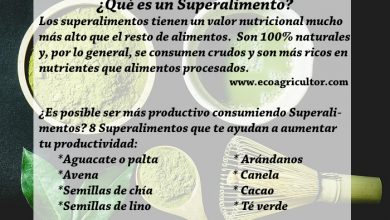 Photo of Colazioni per professionisti: 8 supercibi per aumentare la produttività