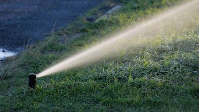 Photo of Irrigazione del giardino: scelta del tipo di irrigazione | Quando innaffiare | Quanto innaffiare