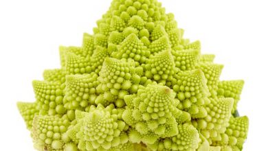 Photo of Romanesco, un ortaggio dalle ottime proprietà da non perdere