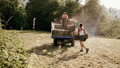 Photo of Sapete cos’è l’agricoltura a responsabilità condivisa?