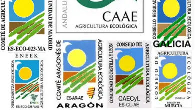 Photo of Cosa sono i prodotti biologici? Come faccio a sapere che un prodotto è ecologico?
