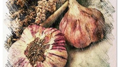 Photo of Impara a piantare l’aglio: come, quando e dove farlo [12 passaggi]