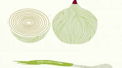 Photo of Semina cipolle in giardino: [coltivazione, cura, irrigazione, suolo e parassiti]