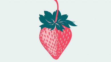 Photo of Fragole da semina: [coltivazione, cura, irrigazione, substrato e parassiti]