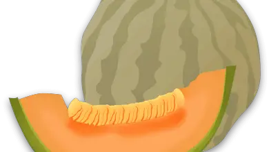 Photo of Piantare meloni non è mai stato così facile se segui questi [12 semplici passaggi]