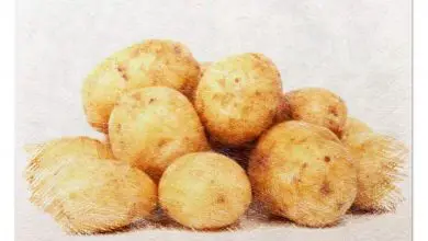 Photo of Piantare patate: la guida completa per farlo [Passo dopo passo]