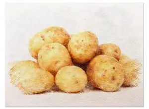 Photo of Come compostare le patate: [Quando farlo, esigenze e compost fatto in casa]