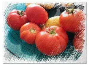 Photo of Come fertilizzare i pomodori: [Utilità, data, prodotti e moduli fatti in casa]