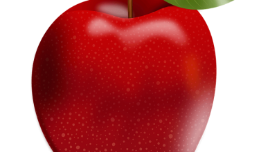Photo of Piantare un melo non è mai stato così facile: [10 passaggi + immagini]