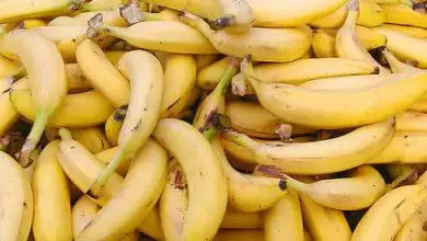 Photo of Piantare una banana: guida completa [Rispondi a tutte le tue domande]