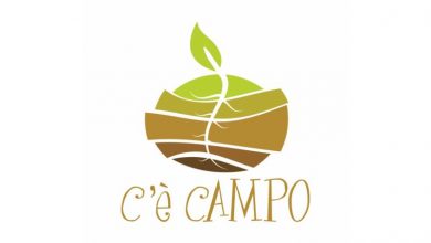 Photo of Sistemi di Garanzia Partecipata: un’altra forma di certificazione ecologica basata sulla fiducia