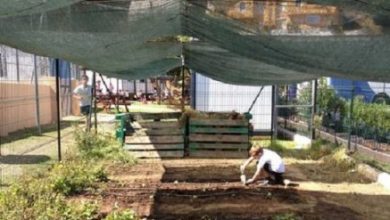 Photo of L’ombreggiatura. Come proteggere il giardino dal sole: reti ombreggianti e altre soluzioni