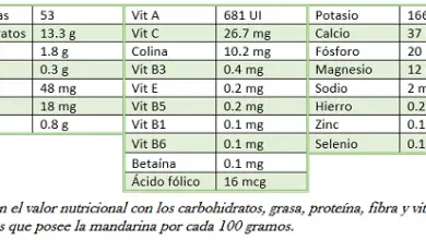 Photo of Mandarino per migliorare le difese e prevenire le malattie cardiovascolari