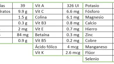 Photo of Pesca o pesca: frutti dal potere antiossidante, digestivo e protettivo del sistema cardiovascolare