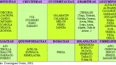 Photo of Principi di rotazione in agricoltura biologica
